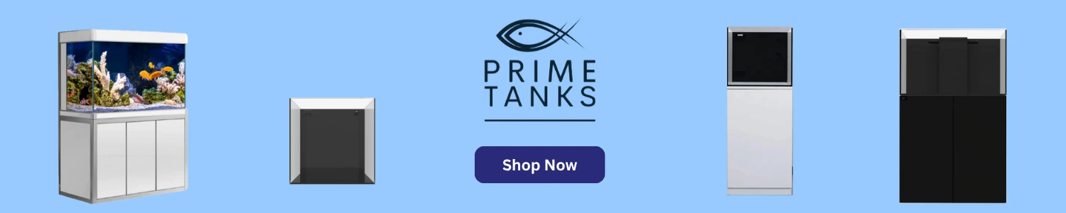 Premium Care for Every Pet